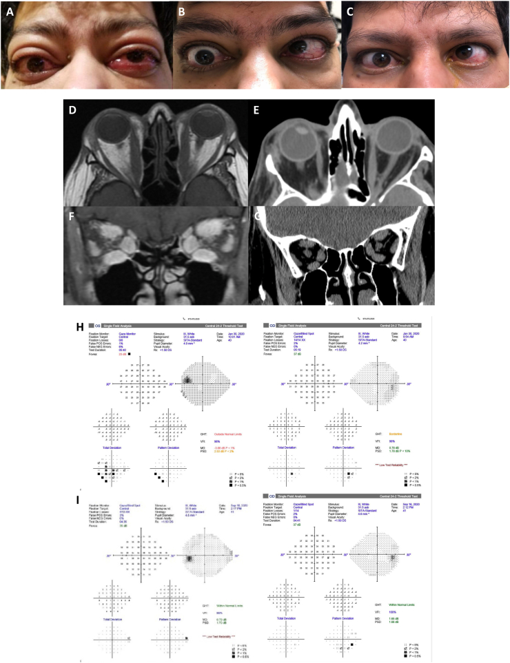 Fig. 5