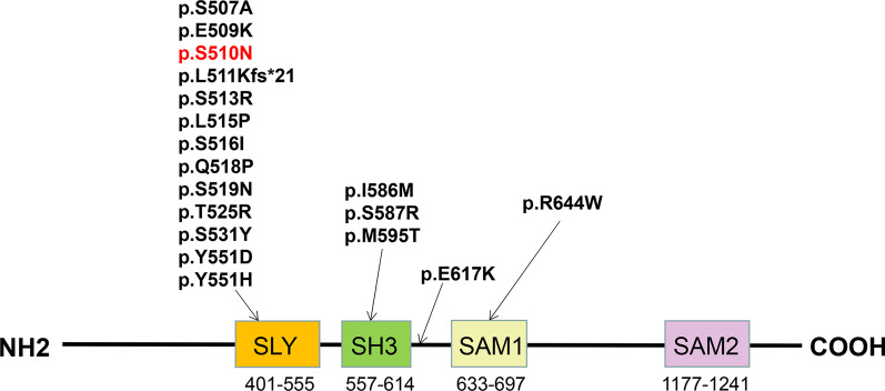 Fig. 5