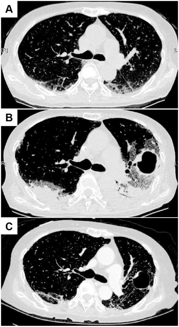 Figure 1.