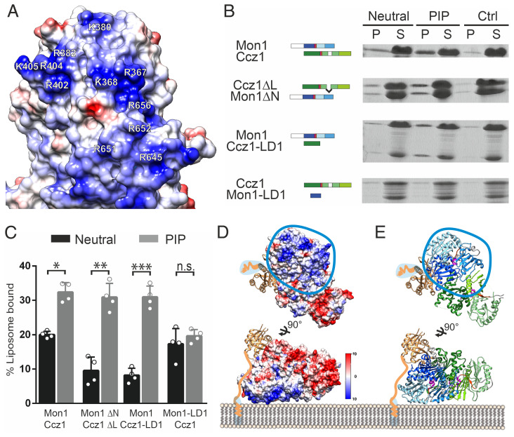 Fig. 4.