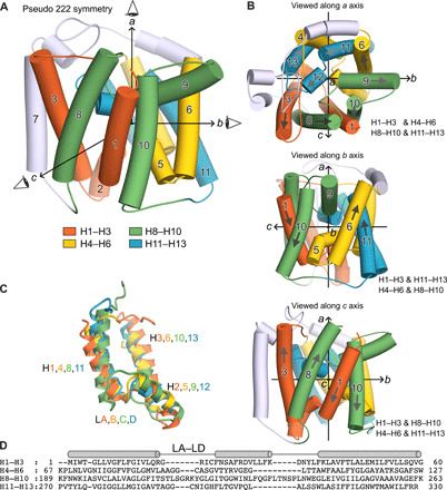 Fig. 3