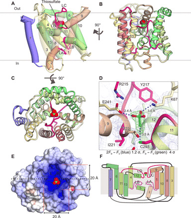 Fig. 2