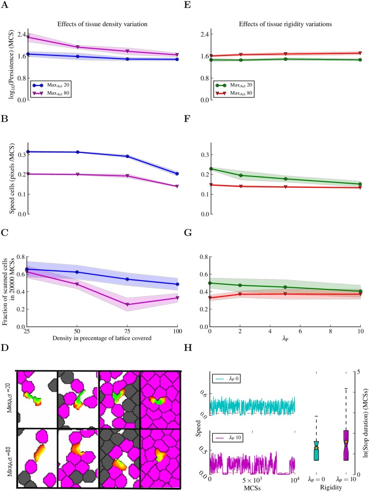 Fig 11