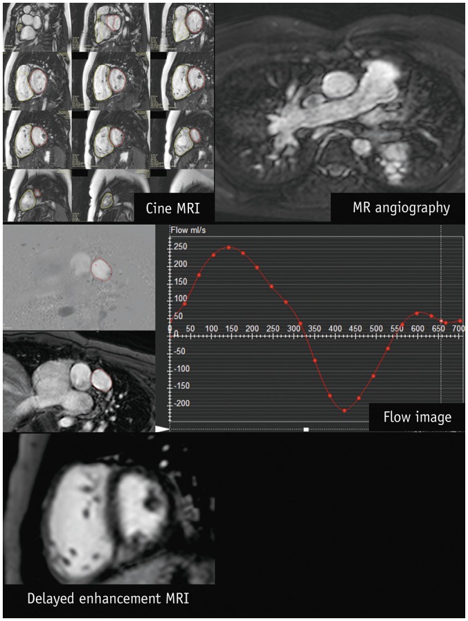 Fig. 7