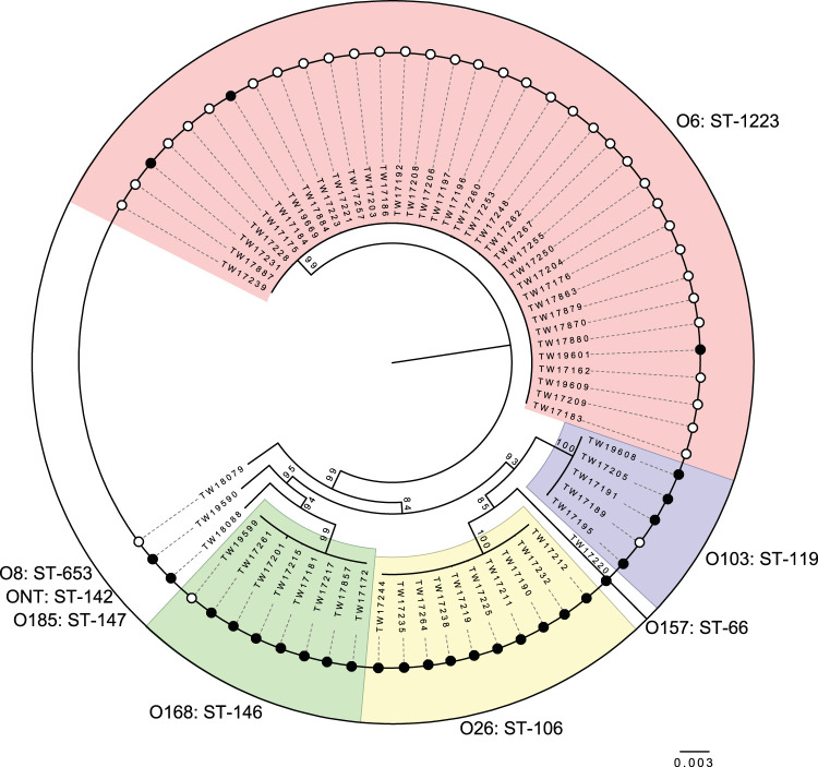 FIG 2