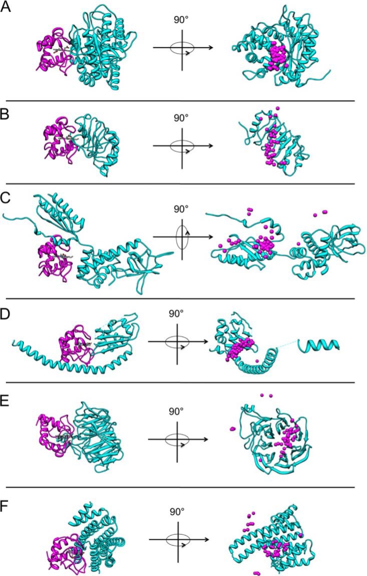 Fig. 4.