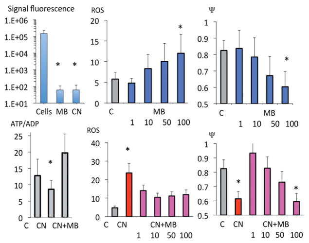 Figure 10