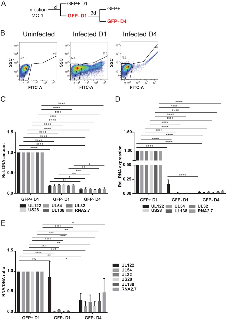 FIG 2 