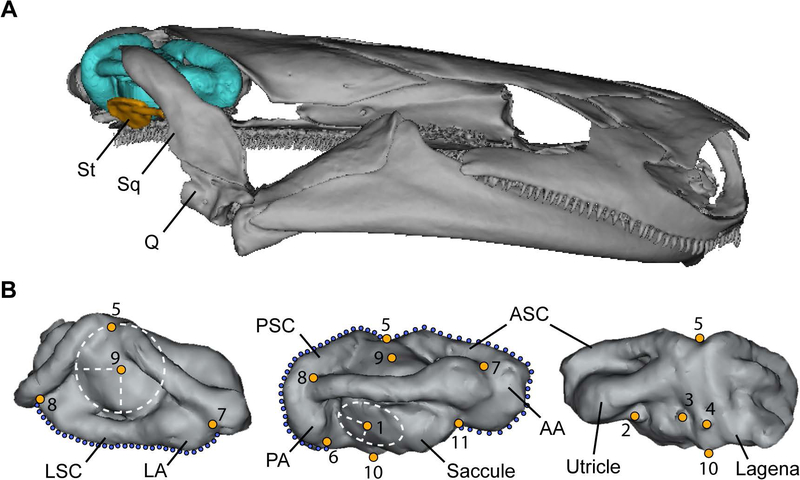 Figure 2.