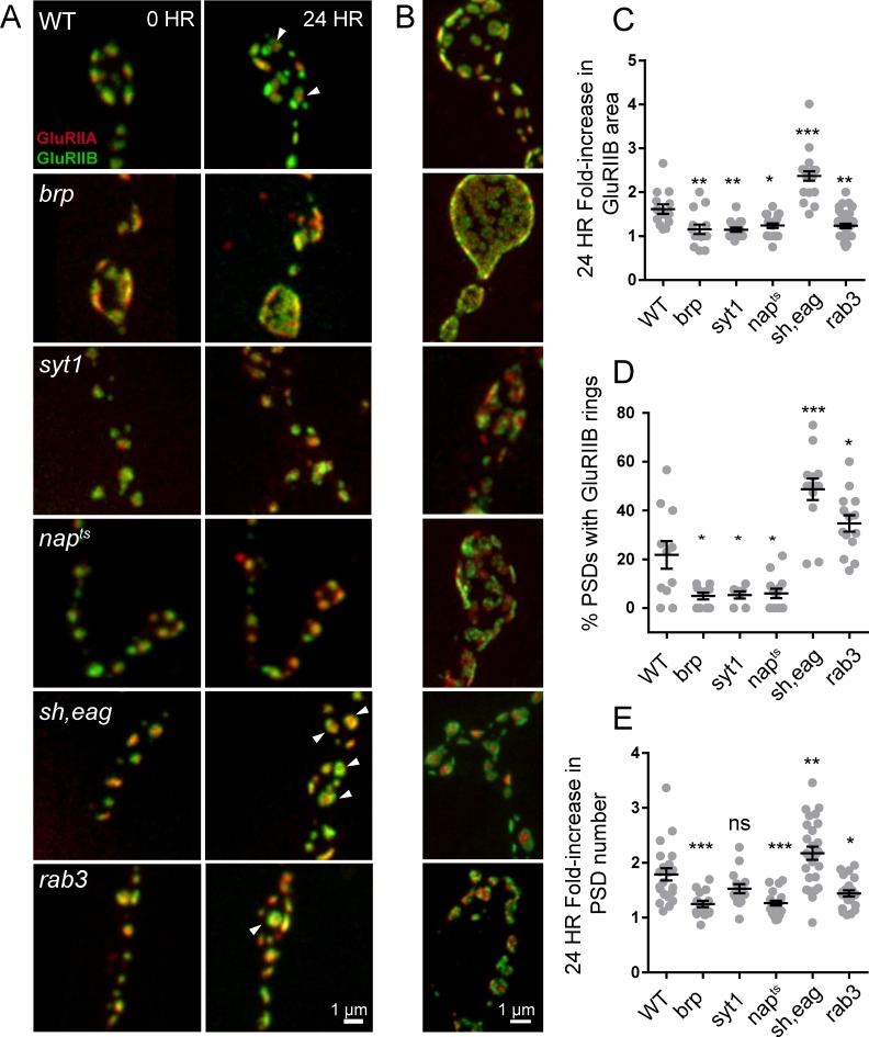 Figure 10.