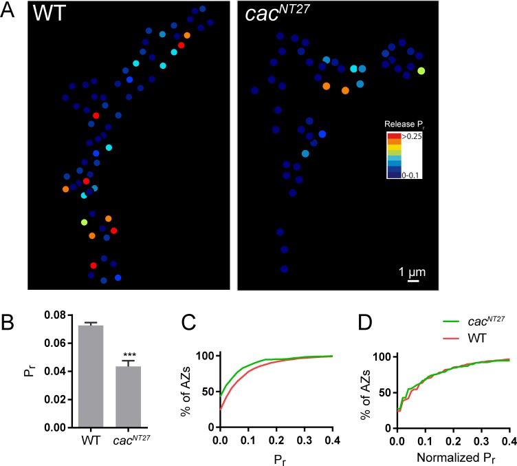 Figure 6—figure supplement 1.