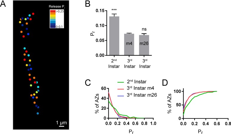 Figure 9—figure supplement 1.