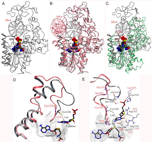 Fig. 4