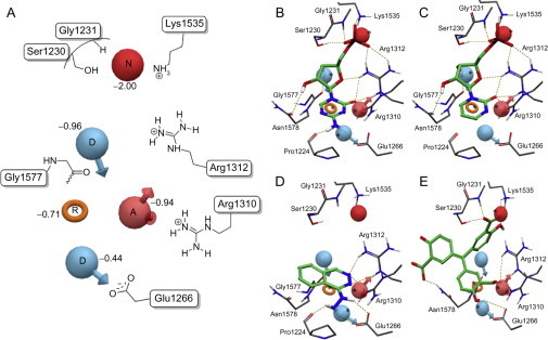 Fig. 7