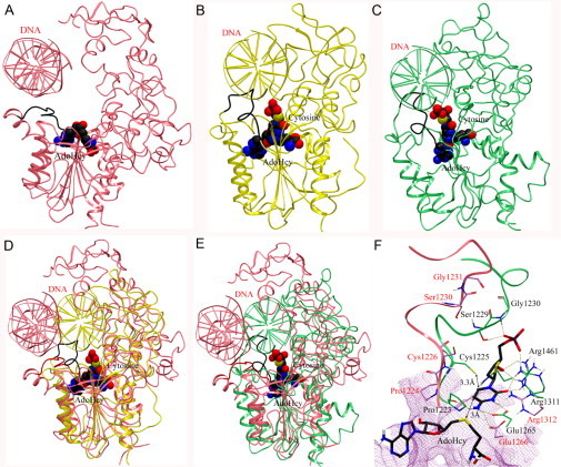 Fig. 3