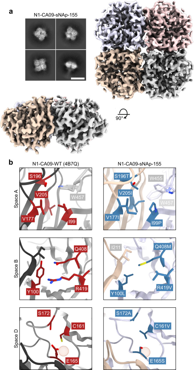 Fig. 3