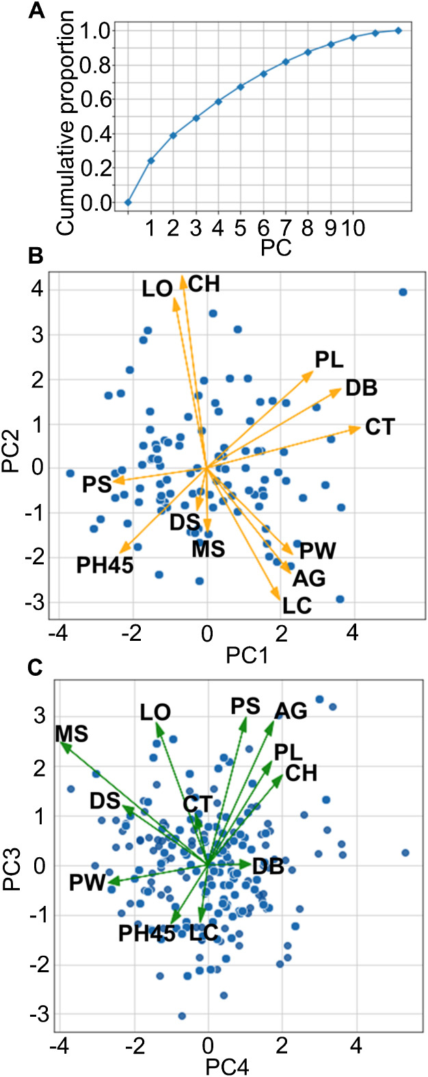 Fig. 2.