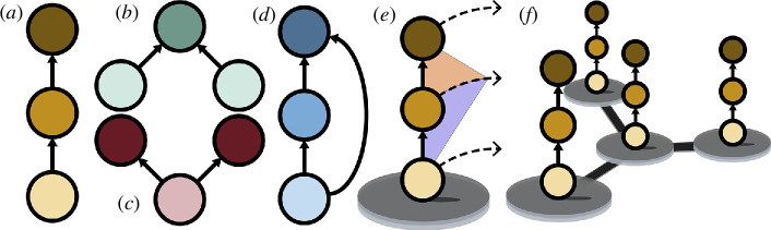 Food web motifs and metacommunity connectivity. Solid arrows denote feeding relationships.