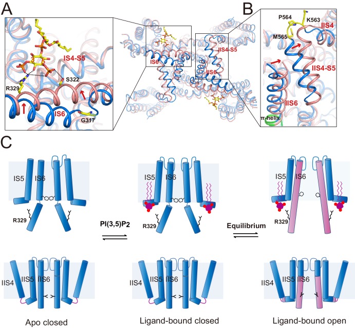 Figure 5.