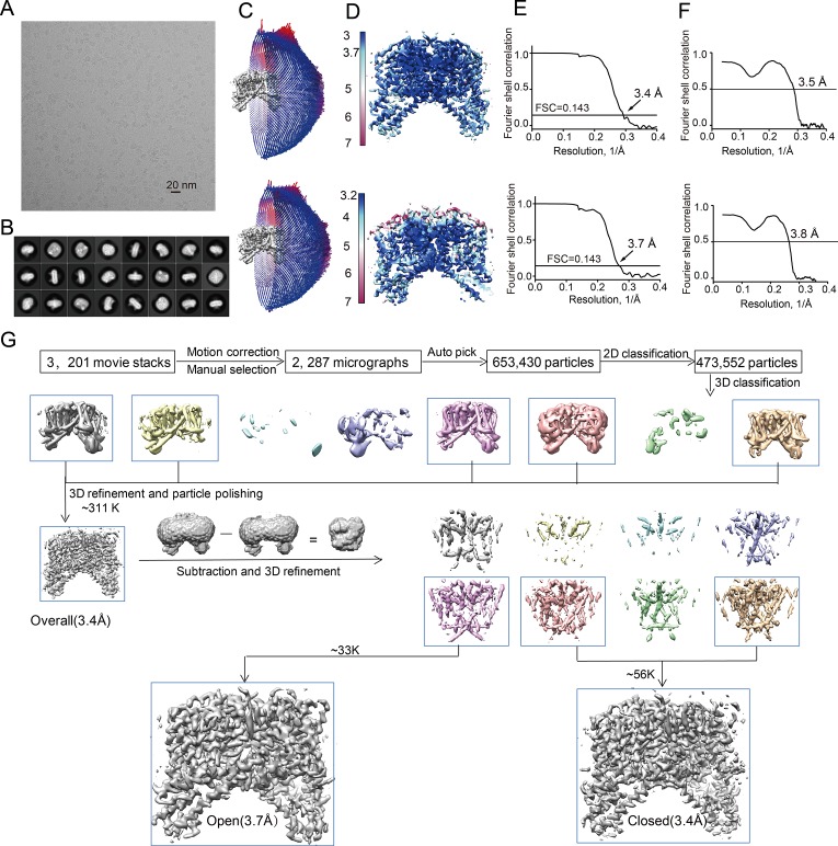 Figure 1—figure supplement 2.