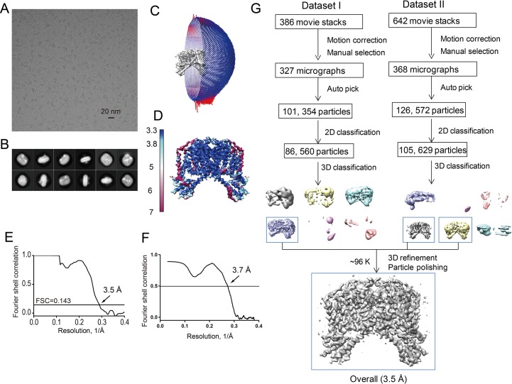 Figure 1—figure supplement 3.