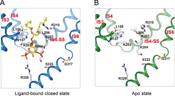 Figure 5—figure supplement 1.