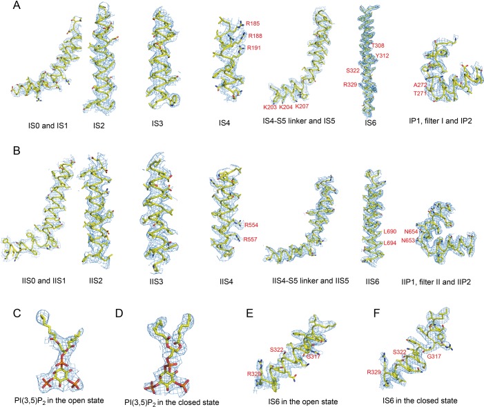 Figure 1—figure supplement 4.