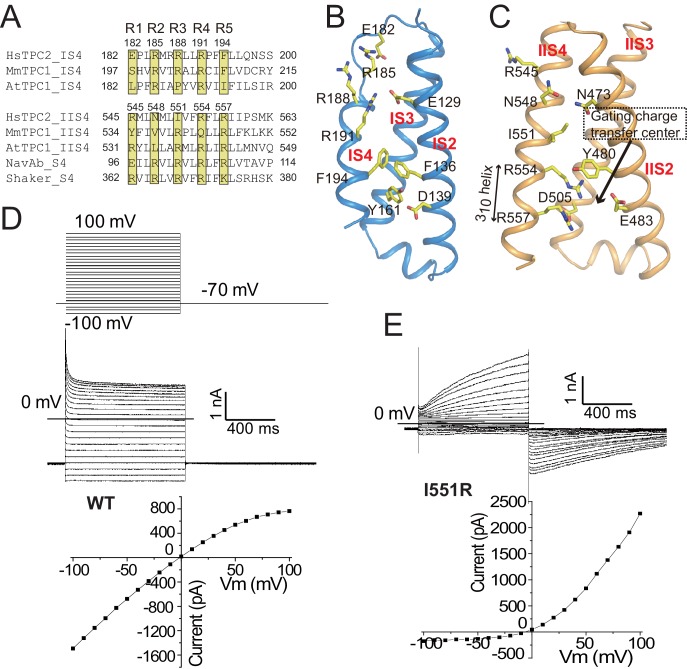 Figure 3.