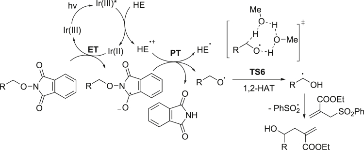 Scheme 10