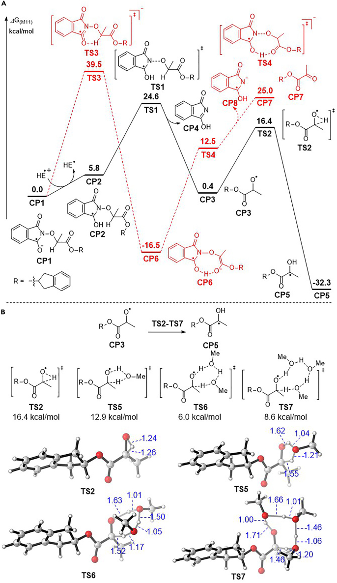 Scheme 9