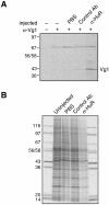 FIG. 8.