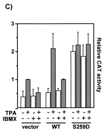 FIG. 5.