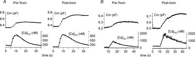 Figure 9