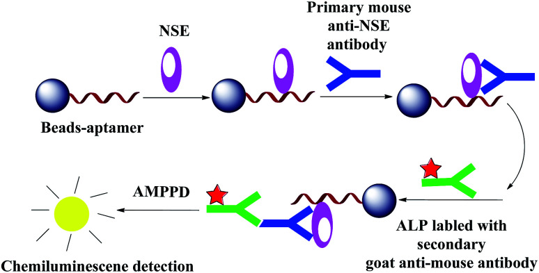 Scheme 2