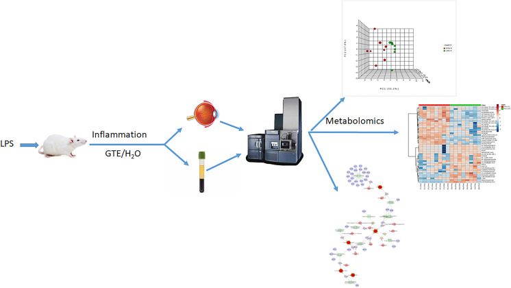 Graphical Abstract