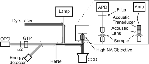 Fig. 1