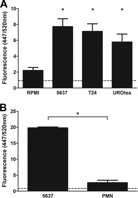 FIG 4