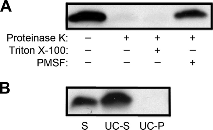 FIG 2