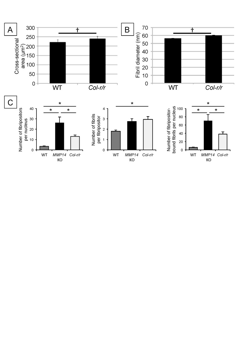 Figure 3—figure supplement 3.