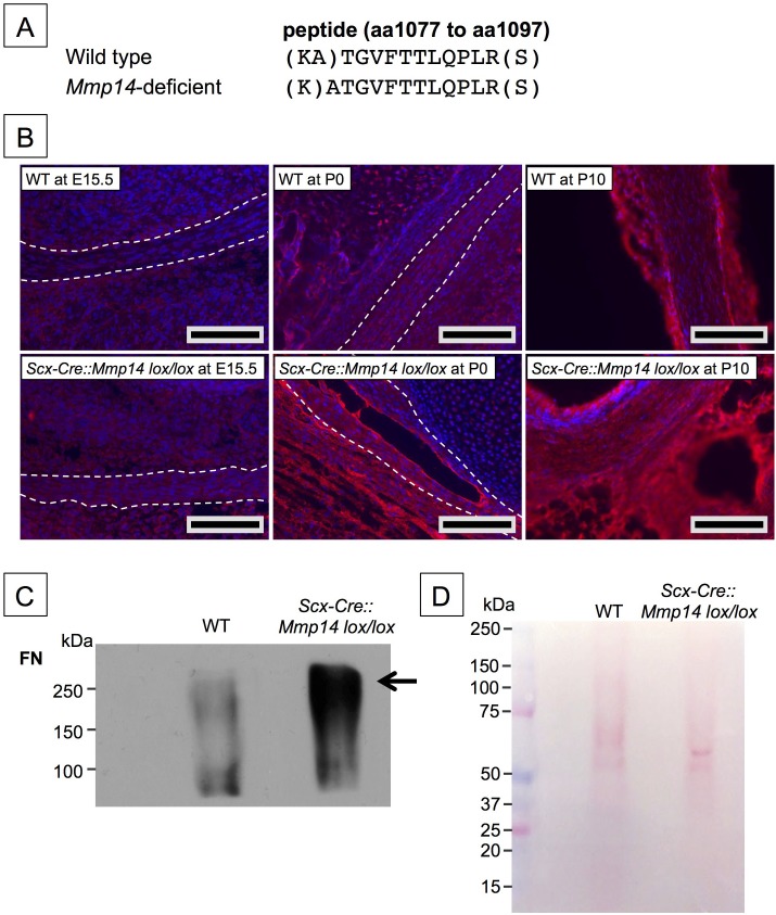 Figure 6.