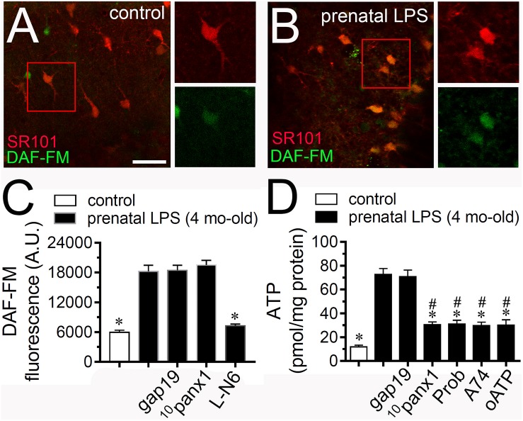 FIGURE 3