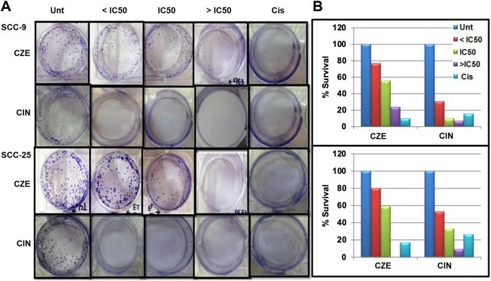 FIGURE 3