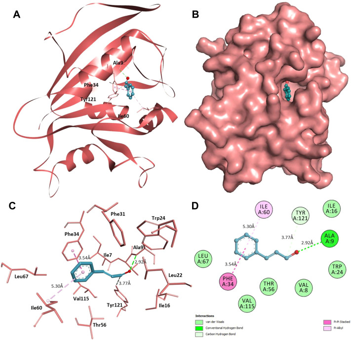 FIGURE 10