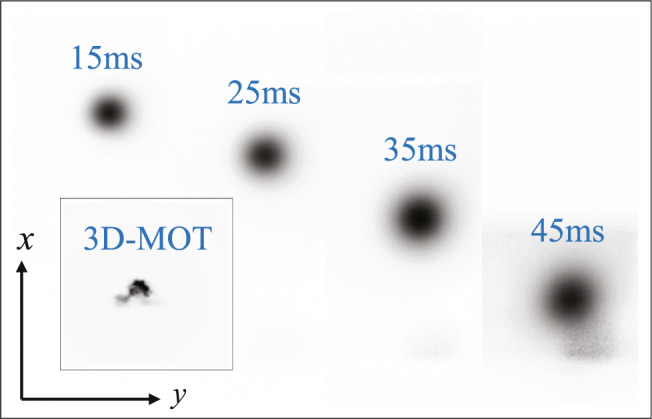 Fig. 7