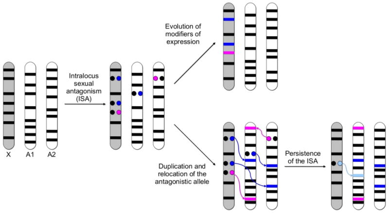 Figure 1 Box 3