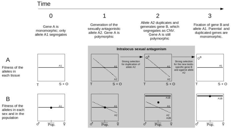 Figure 1 of Box 1