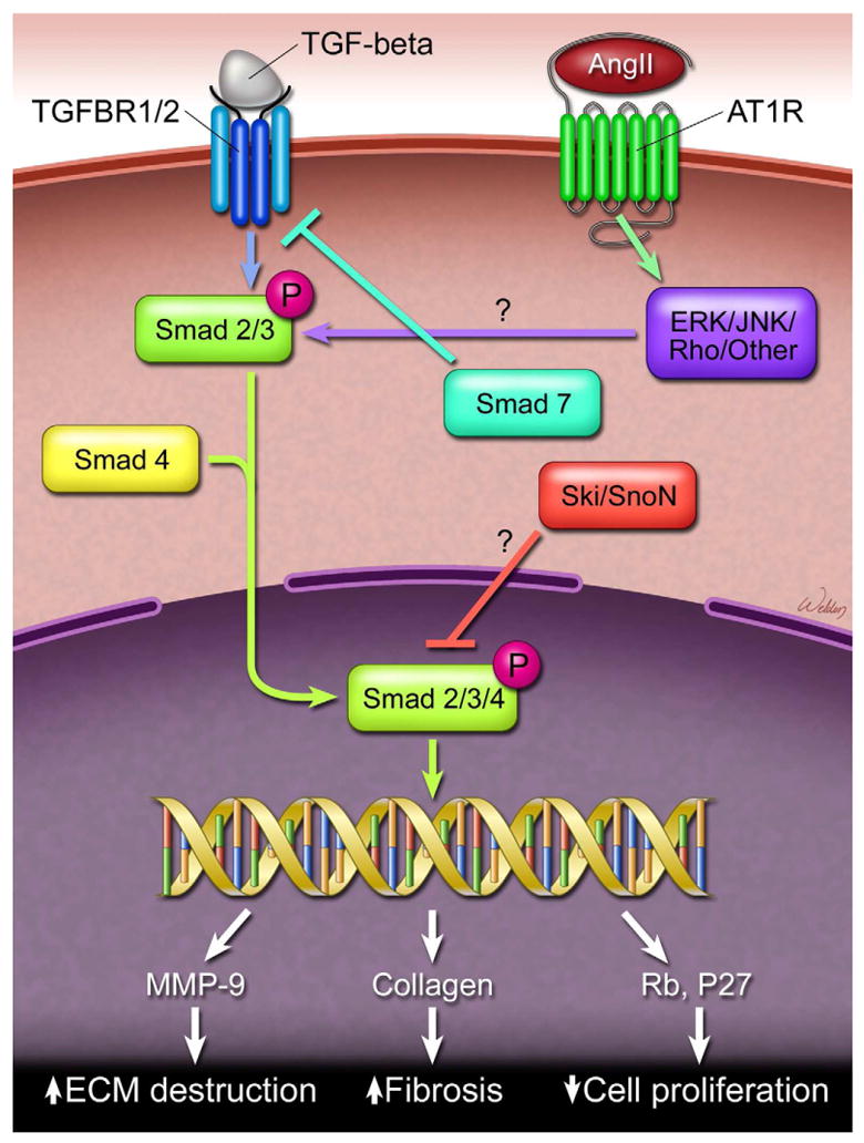 Fig 3