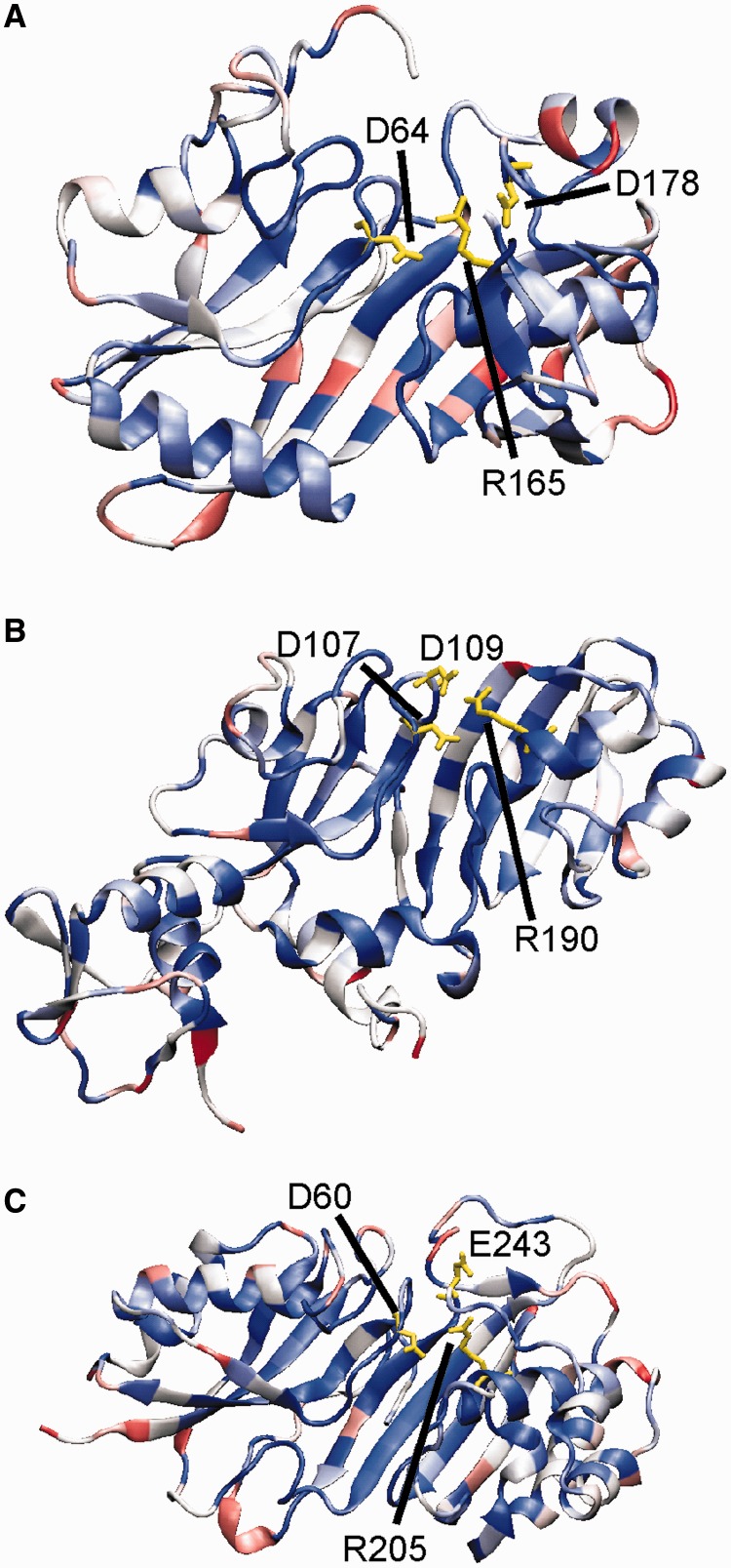 Figure 9.