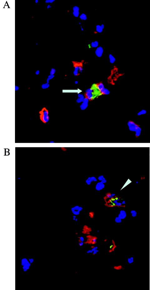 FIG. 7.