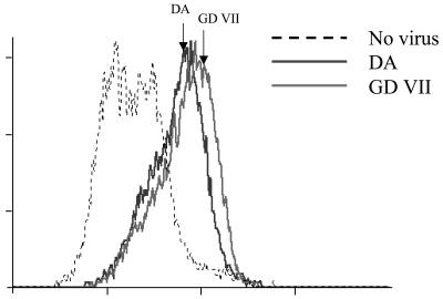 FIG. 5.